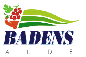 Logo de la mairie de badens representant la flamme et le département