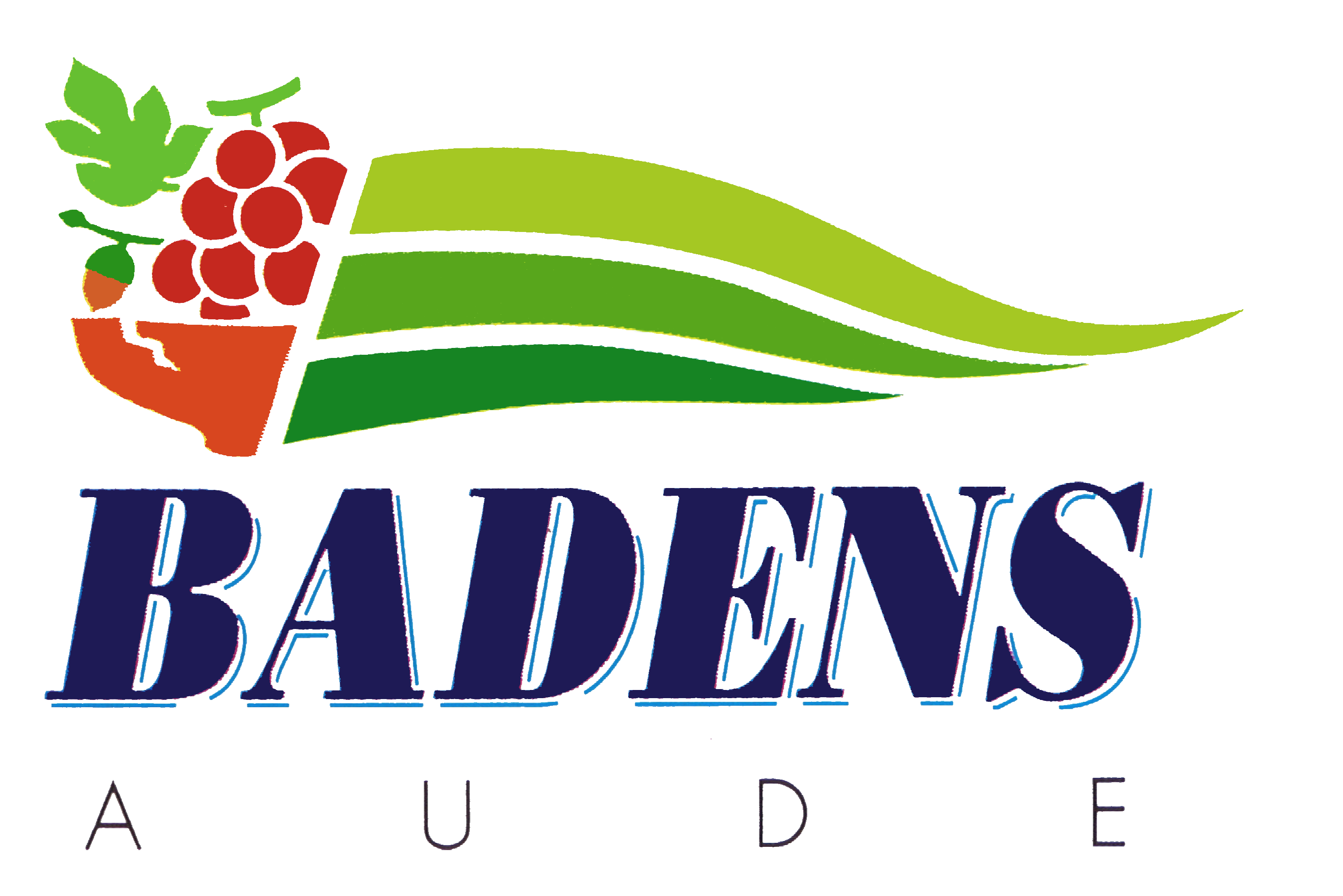 Logo de la mairie de badens representant la flamme et le département