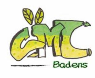 Logo du conseil municipal des jeunes de badens